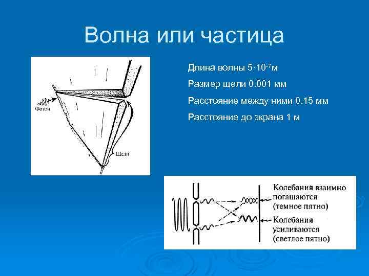 Волна или частица Длина волны 5· 10 -7 м Размер щели 0. 001 мм