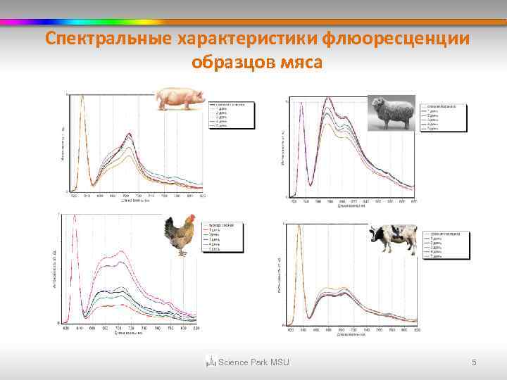 Cпектральные характеристики флюоресценции образцов мяса Science Park MSU 5 