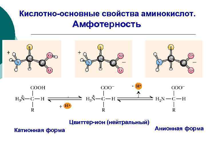 Кислотно-основные свойства аминокислот. Амфотерность Цвиттер-ион (нейтральный) Катионная форма Анионная форма 