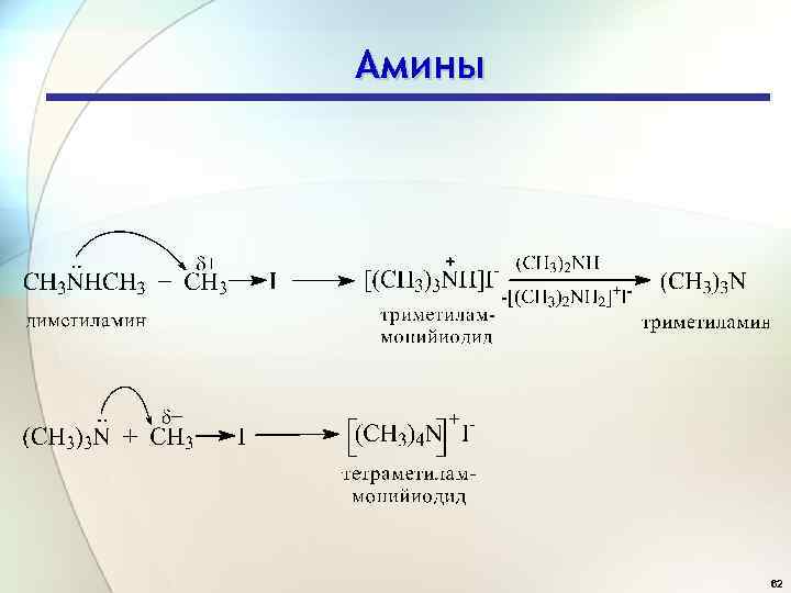 Амины 62 