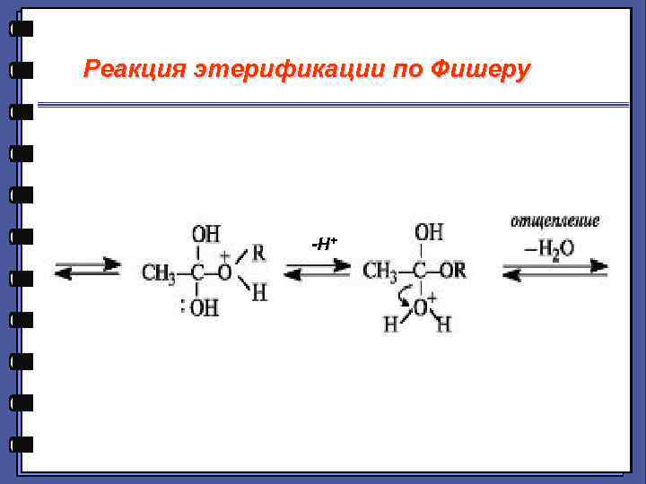 Реакция этерификации по Фишеру -H+ 