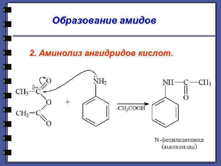 Образование амидов 2. Аминолиз ангидридов кислот. 