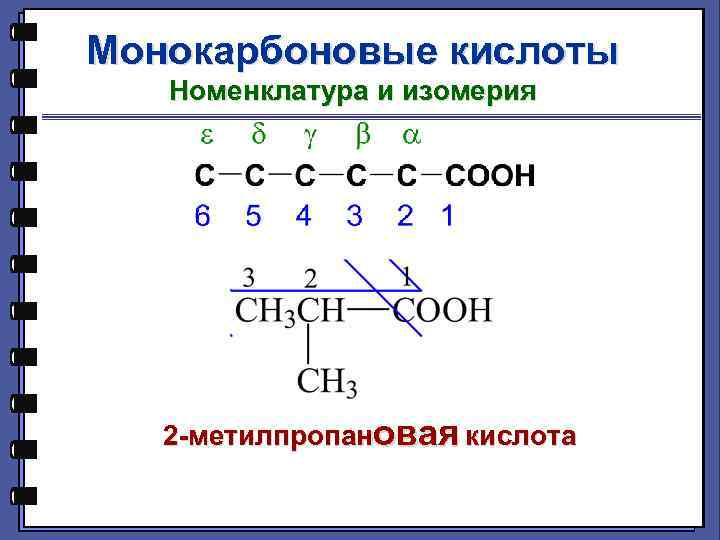 Метилпропановая кислота гомолог