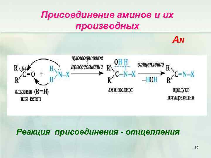 Присоединение аминов и их производных AN Реакция присоединения - отщепления 40 