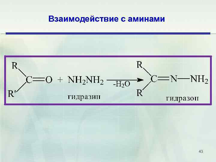 Взаимодействие с аминами 43 