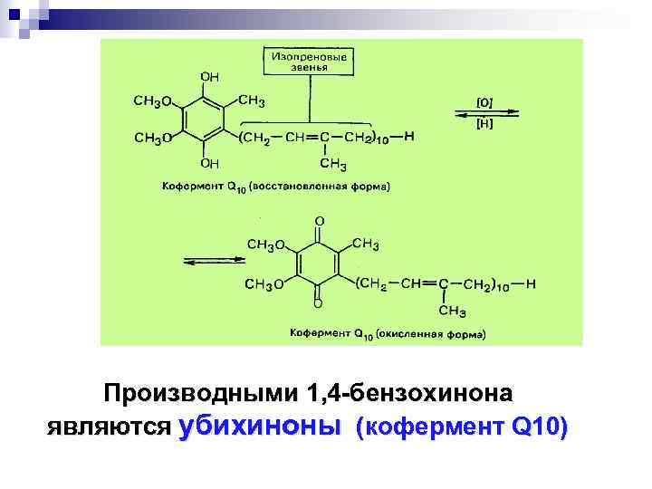 Производными 1, 4 -бензохинона являются убихиноны (кофермент Q 10) 