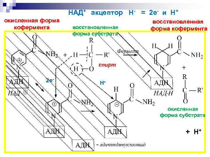 Схема процесса восстановления n 5 n 2