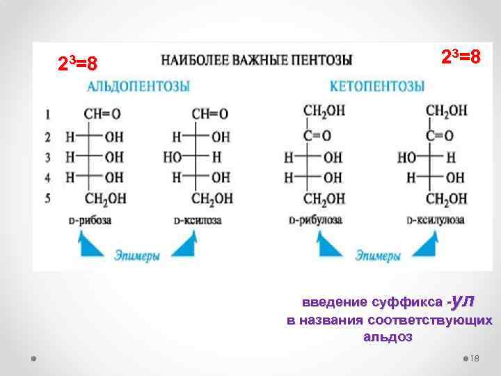 23=8 =8 введение суффикса -ул в названия соответствующих альдоз 18 