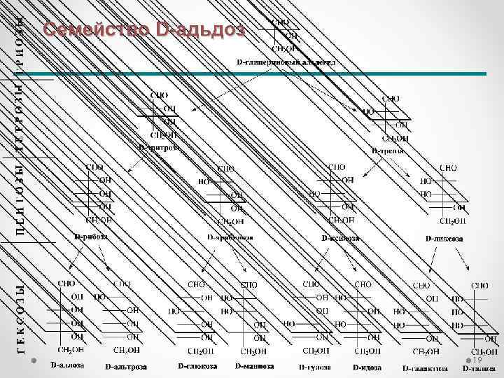 Семейство D-адьдоз 19 