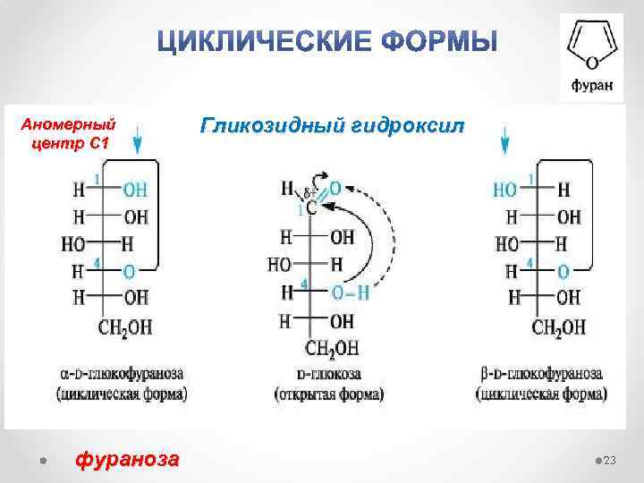 Аномерный центр С 1 фураноза Гликозидный гидроксил 23 