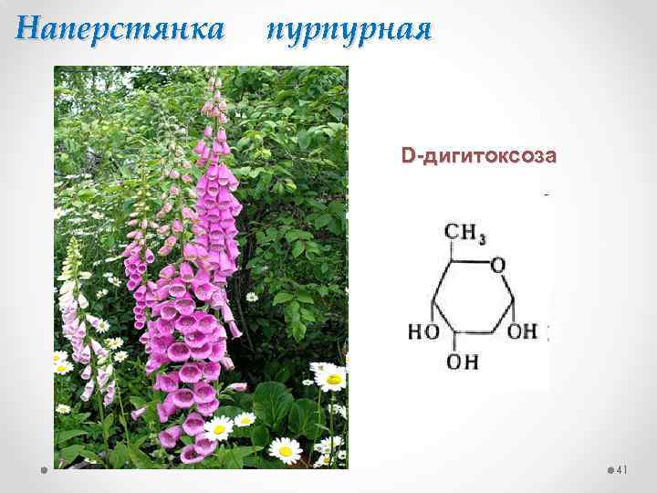 Наперстянка пурпурная D-дигитоксоза 41 