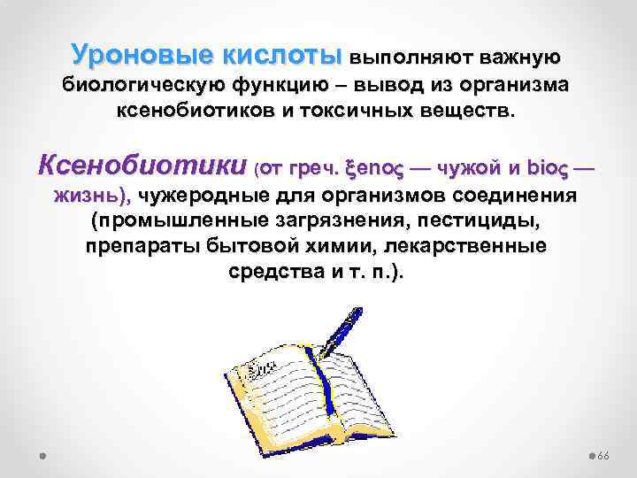 Уроновые кислоты выполняют важную биологическую функцию – вывод из организма ксенобиотиков и токсичных веществ.