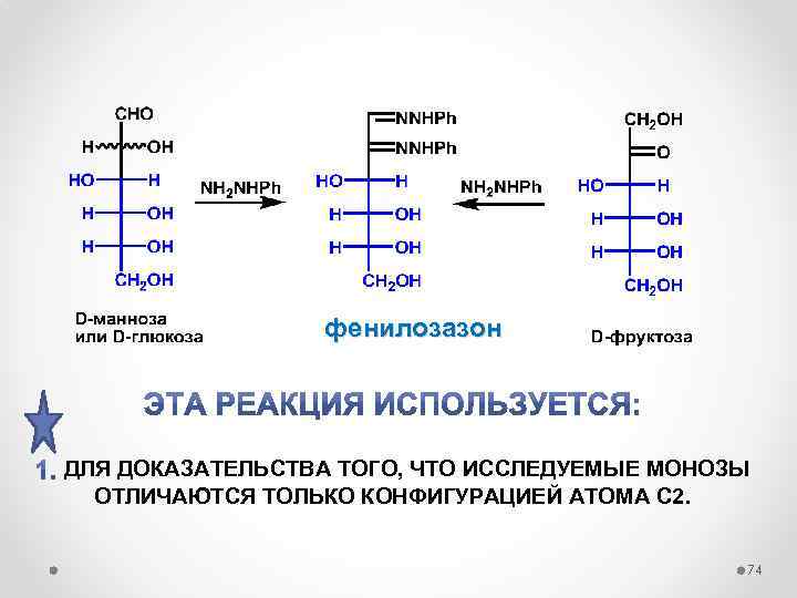 фенилозазон ДЛЯ ДОКАЗАТЕЛЬСТВА ТОГО, ЧТО ИССЛЕДУЕМЫЕ МОНОЗЫ ОТЛИЧАЮТСЯ ТОЛЬКО КОНФИГУРАЦИЕЙ АТОМА С 2. 74