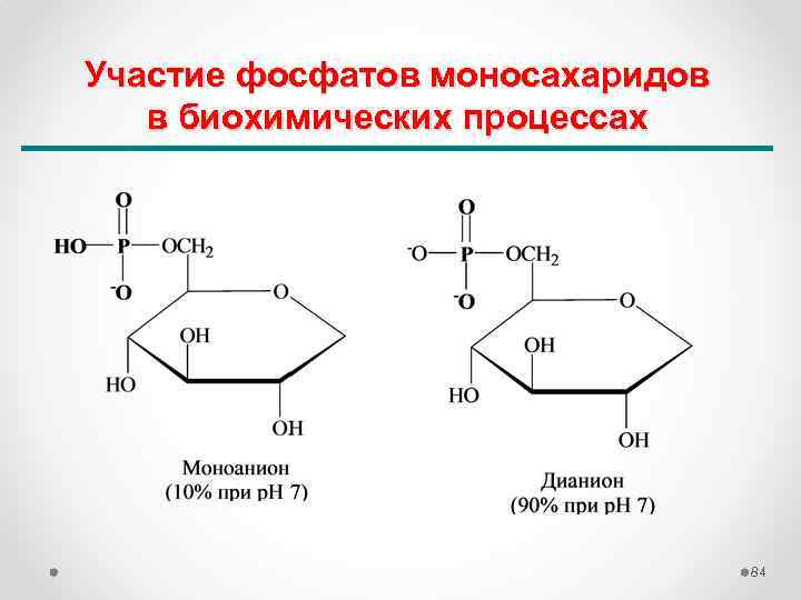 Участие фосфатов моносахаридов в биохимических процессах 84 