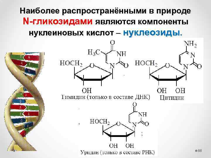Кислотный гидролиз нуклеозидов. Нуклеотиды нуклеозиды нуклеиновые кислоты. Нуклеозиды ДНК формулы. Схемы получения нуклеотидов гуанина.