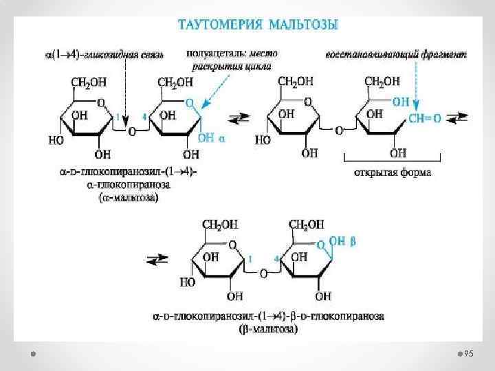 1 1 гликозидной связью. Восстанавливающие дисахариды целлобиоза. Цикло-оксо-таутомерия мальтозы. Схема таутомерных превращений мальтозы. Таутомерная форма мальтозы.