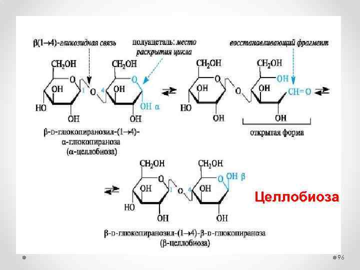 Целлобиоза 96 