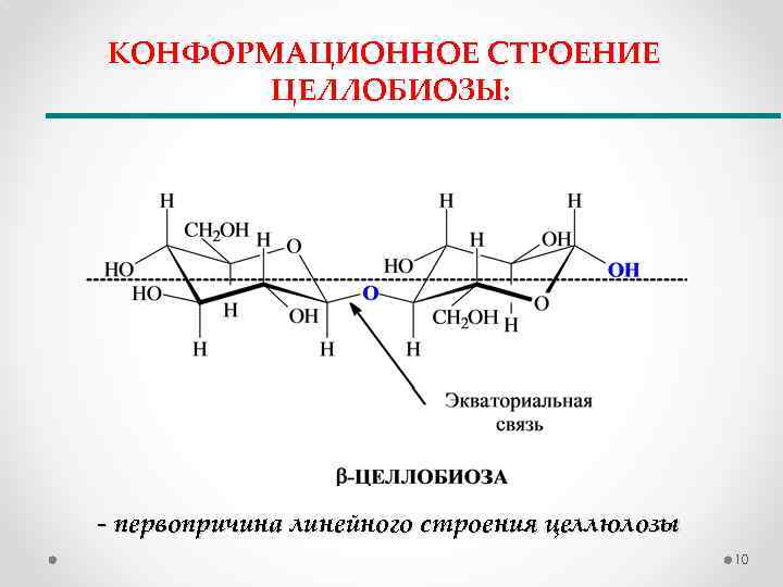 КОНФОРМАЦИОННОЕ СТРОЕНИЕ ЦЕЛЛОБИОЗЫ: - первопричина линейного строения целлюлозы 10 