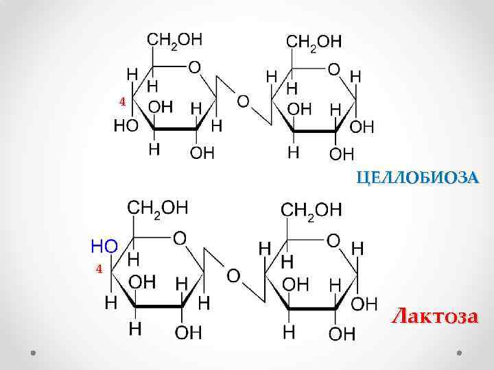 4 ЦЕЛЛОБИОЗА 4 Лактоза 