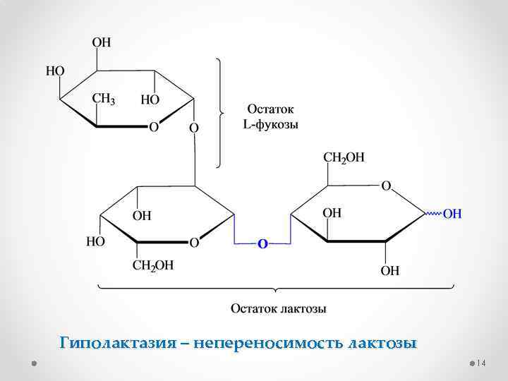 Гиполактазия – непереносимость лактозы 14 