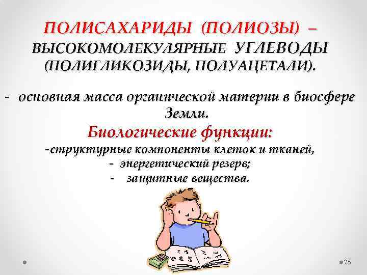 ПОЛИСАХАРИДЫ (ПОЛИОЗЫ) – ВЫСОКОМОЛЕКУЛЯРНЫЕ УГЛЕВОДЫ (ПОЛИГЛИКОЗИДЫ, ПОЛУАЦЕТАЛИ). - основная масса органической материи в биосфере