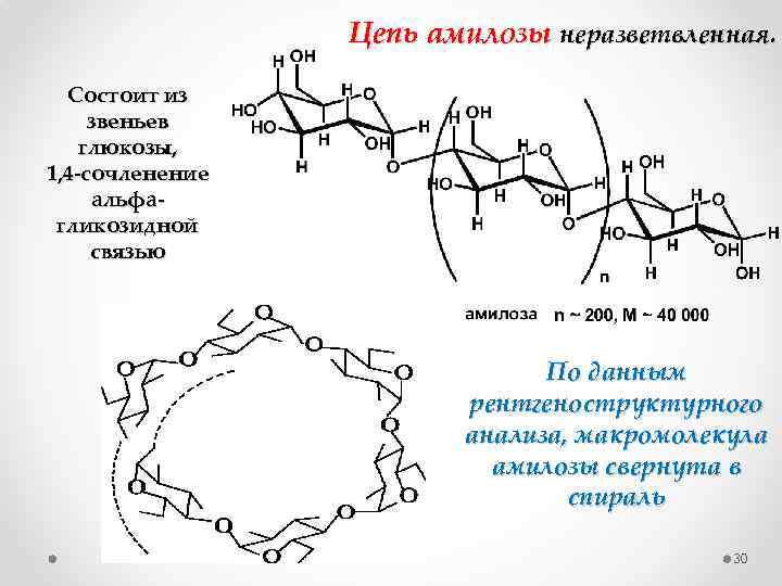 Цепь амилозы неразветвленная. Состоит из звеньев глюкозы, 1, 4 -сочленение альфагликозидной связью По данным