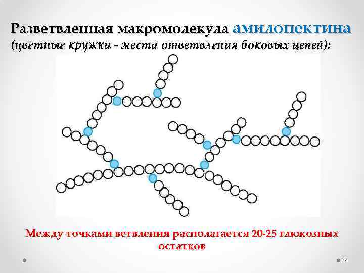 Макромолекула это. Строение молекулы амилопектина. Макромолекула амилопектина. Гидролиз амилозы и амилопектина. Структура цепей макромолекул.