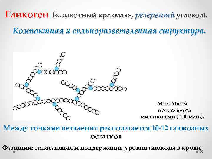 Гликоген ( «животный крахмал» , резервный углевод). Компактная и сильноразветвленная структура. Мол. Масса исчисляется