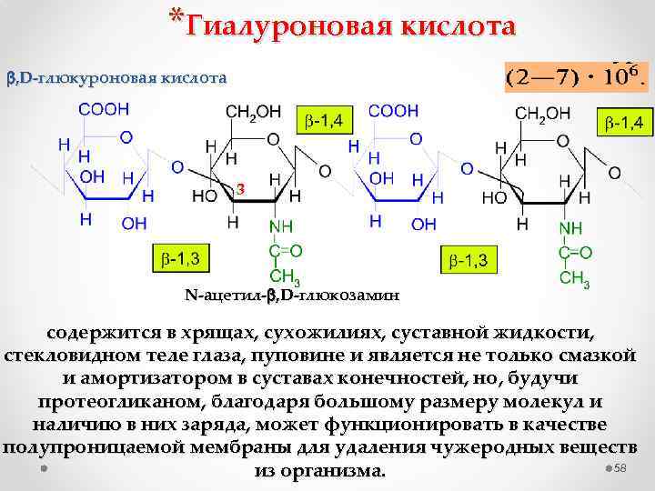 *Гиалуроновая кислота , D-глюкуроновая кислота 3 N-ацетил- , D-глюкозамин содержится в хрящах, сухожилиях, суставной