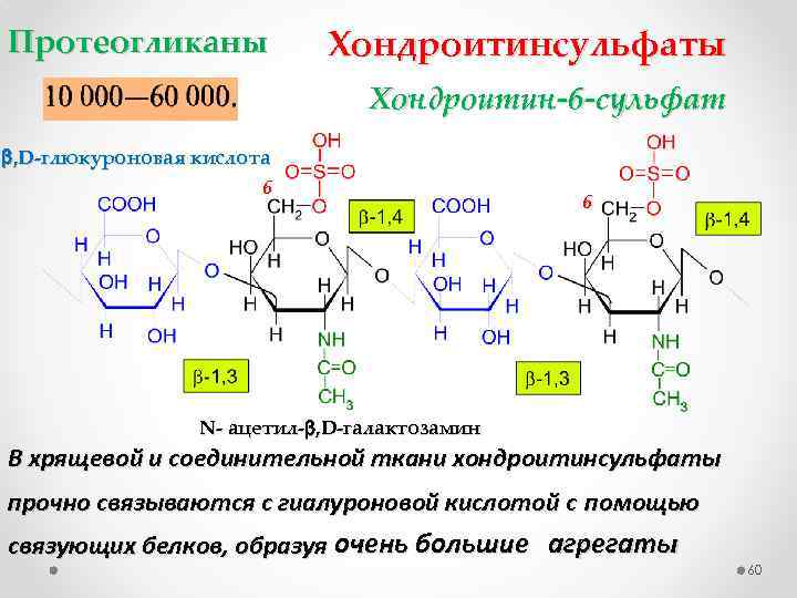 Протеогликаны Хондроитинсульфаты Хондроитин-6 -сульфат , D-глюкуроновая кислота 6 6 N- ацетил- , D-галактозамин В