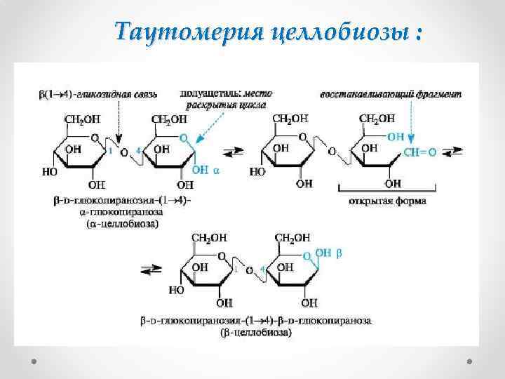 Схема таутомерных превращений