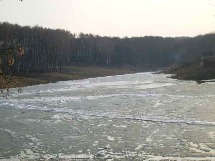 Цыганский пруд 