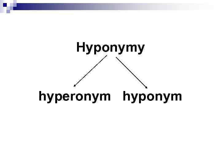 Hyponymy hyperonym hyponym 