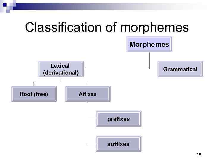 Classification of morphemes Morphemes Lexical (derivational) Root (free) Grammatical Affixes prefixes suffixes 10 