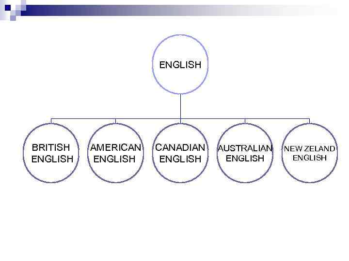 ENGLISH BRITISH ENGLISH AMERICAN ENGLISH CANADIAN ENGLISH AUSTRALIAN ENGLISH NEW ZELAND ENGLISH 