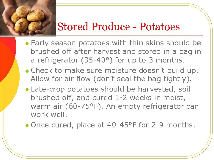 Stored Produce - Potatoes l Early season potatoes with thin skins should be brushed