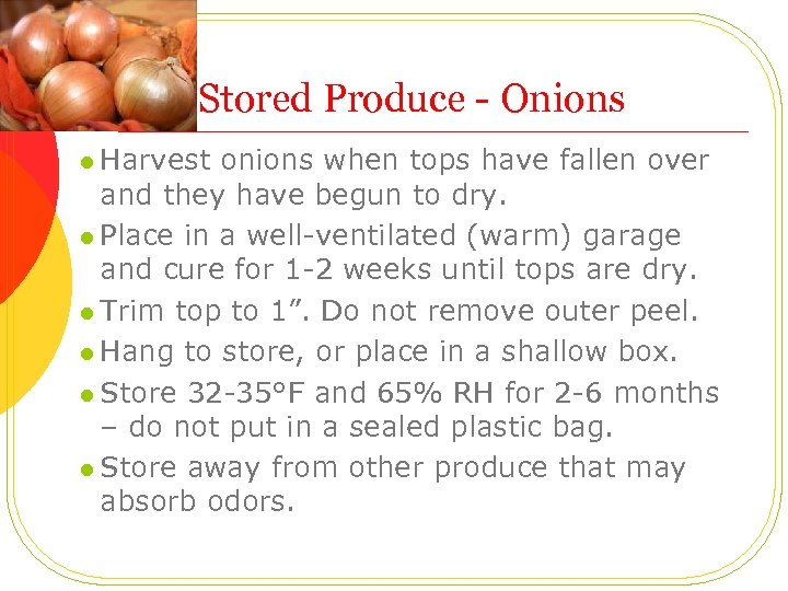 Stored Produce - Onions l Harvest onions when tops have fallen over and they