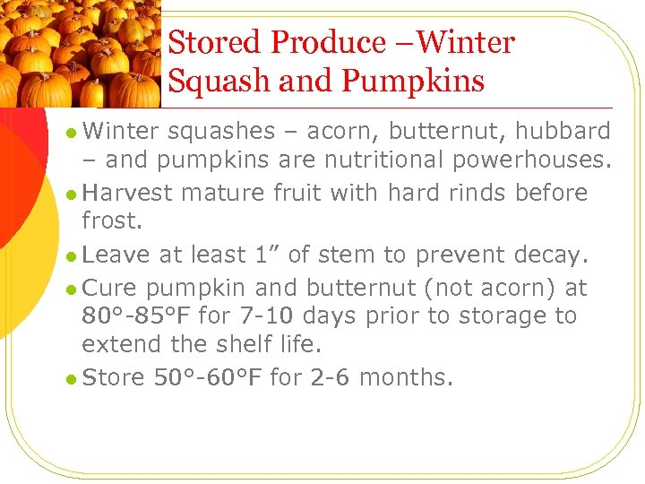 Stored Produce –Winter Squash and Pumpkins l Winter squashes – acorn, butternut, hubbard –