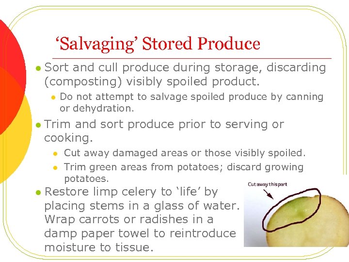 ‘Salvaging’ Stored Produce l Sort and cull produce during storage, discarding (composting) visibly spoiled