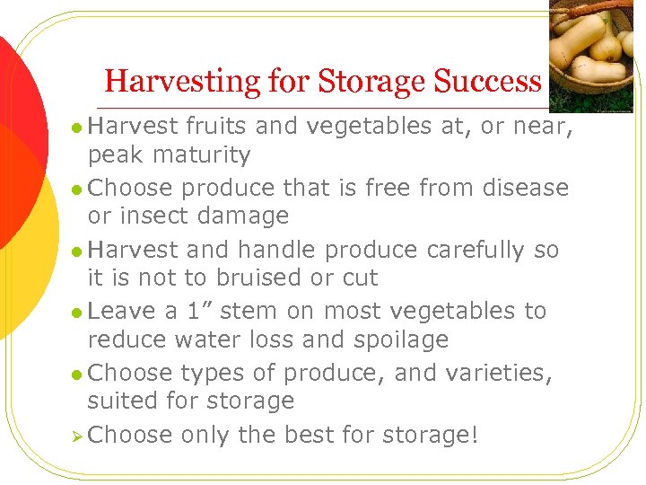 Harvesting for Storage Success l Harvest fruits and vegetables at, or near, peak maturity