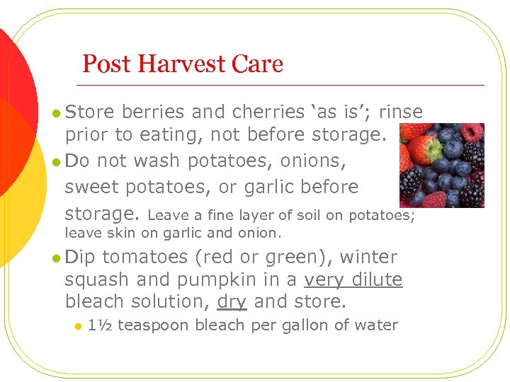 Post Harvest Care l Store berries and cherries ‘as is’; rinse prior to eating,