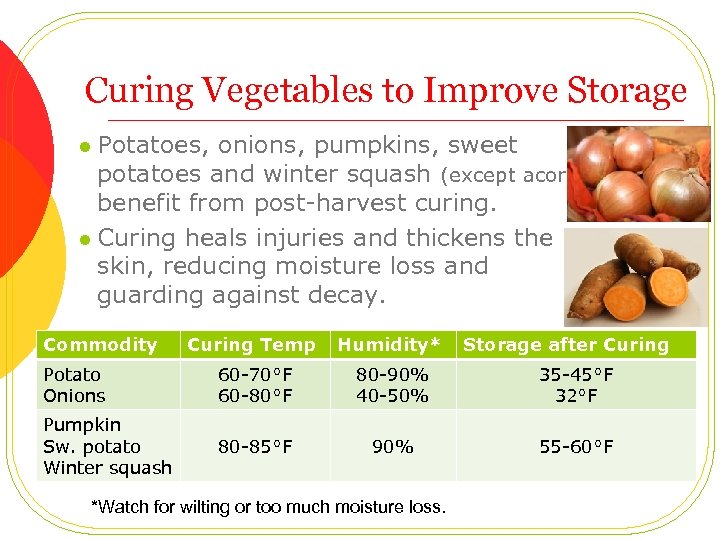 Curing Vegetables to Improve Storage Potatoes, onions, pumpkins, sweet potatoes and winter squash (except
