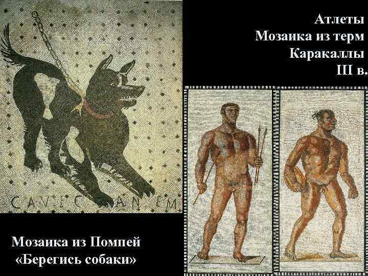 Атлеты Мозаика из терм Каракаллы III в. Мозаика из Помпей «Берегись собаки» 