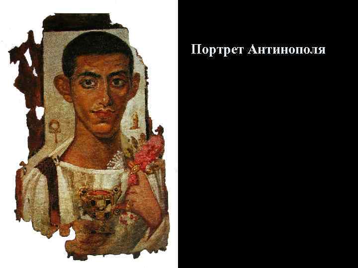 Портрет Антинополя 