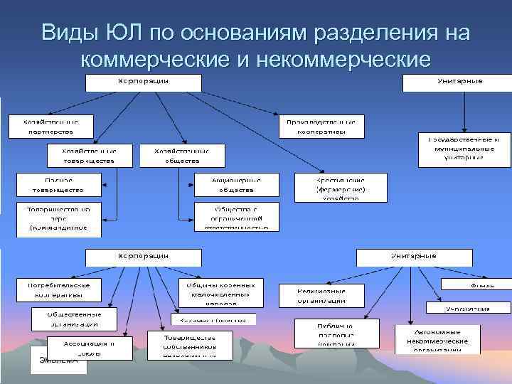 Виды ЮЛ по основаниям разделения на коммерческие и некоммерческие 