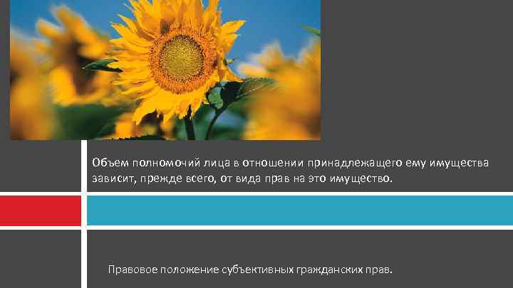 Объем полномочий лица в отношении принадлежащего ему имущества зависит, прежде всего, от вида прав