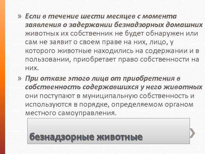 » Если в течение шести месяцев с момента заявления о задержании безнадзорных домашних животных