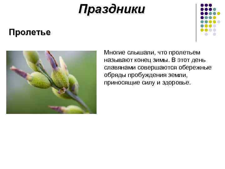 Праздники Пролетье Многие слышали, что пролетьем называют конец зимы. В этот день славянами совершаются