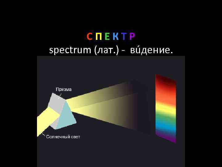 СПЕКТР spectrum (лат. ) - вúдение. 