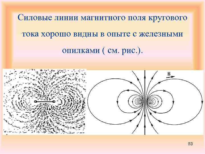 Силовые линии магнитного поля кругового тока хорошо видны в опыте с железными опилками (